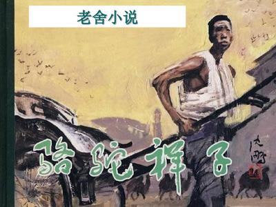 雏鸟网站