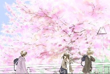 深入了解 缅北开火车在线观看